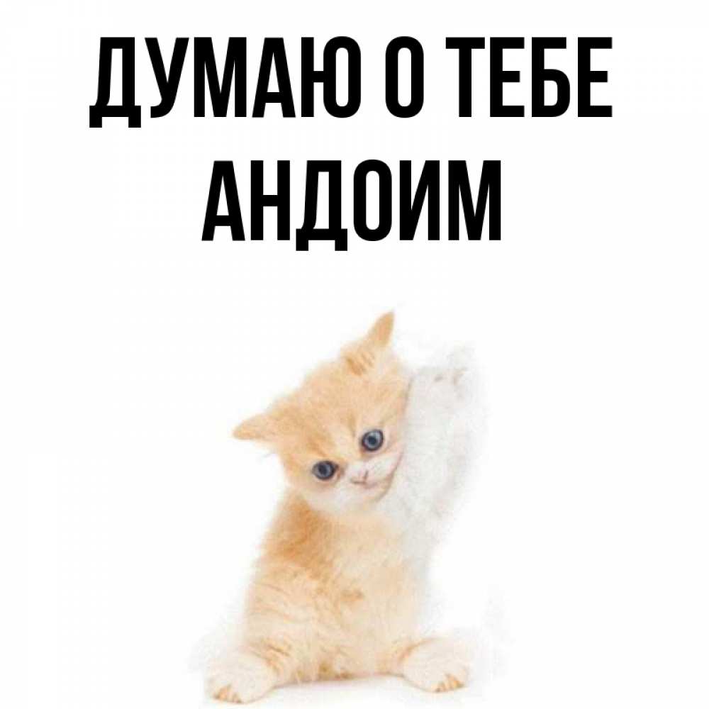 Открытка на каждый день с именем, Андоим Думаю о тебе зверушки и милота Прикольная открытка с пожеланием онлайн скачать бесплатно 