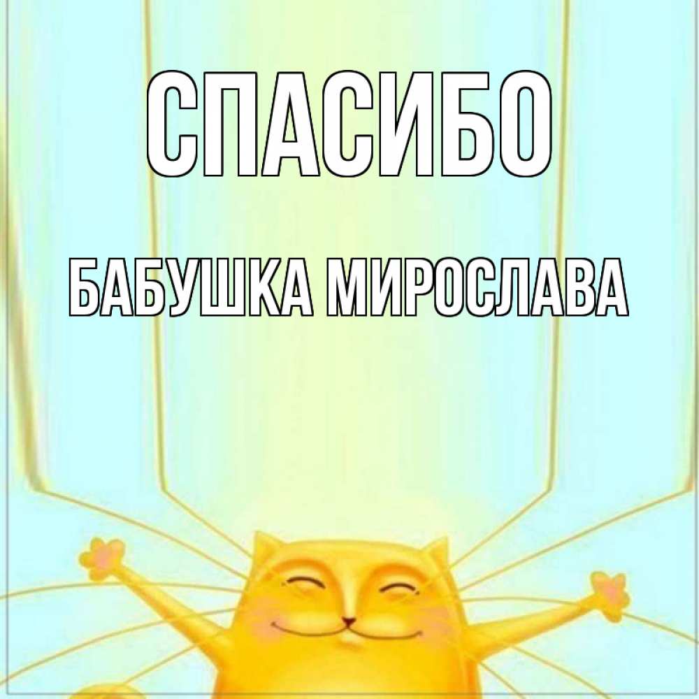 Открытка на каждый день с именем, Бабушка-Мирослава Спасибо кот с усами благодарит Прикольная открытка с пожеланием онлайн скачать бесплатно 