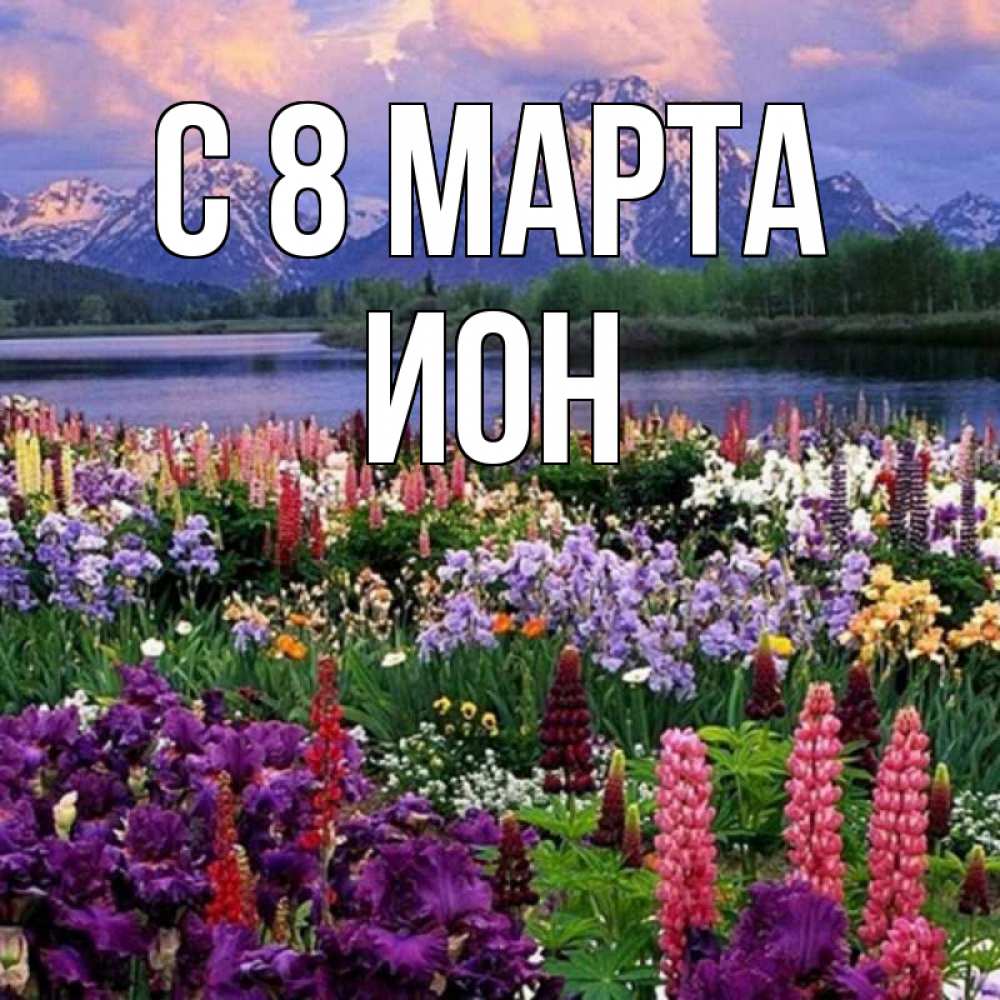 Открытка на каждый день с именем, Ион С 8 МАРТА международный женский день Прикольная открытка с пожеланием онлайн скачать бесплатно 