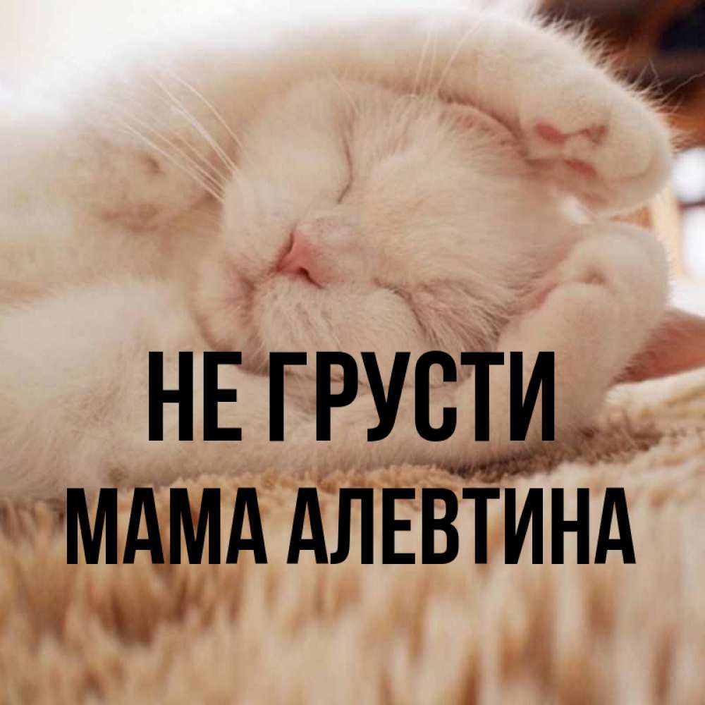 Открытка на каждый день с именем, Мама-Алевтина Не грусти Котенок спит Прикольная открытка с пожеланием онлайн скачать бесплатно 