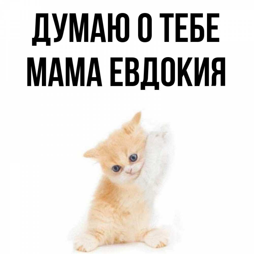 Открытка на каждый день с именем, Мама-Евдокия Думаю о тебе зверушки и милота Прикольная открытка с пожеланием онлайн скачать бесплатно 