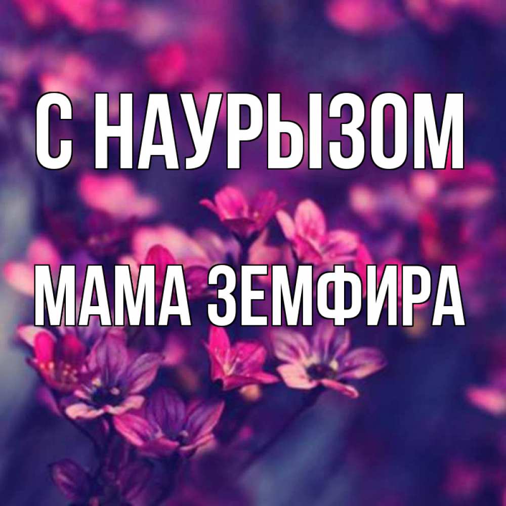 Открытка на каждый день с именем, Мама-Земфира С наурызом небольшие цветы 1 Прикольная открытка с пожеланием онлайн скачать бесплатно 