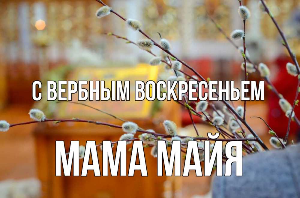 Открытка на каждый день с именем, Мама-Майя С вербным воскресеньем верба Прикольная открытка с пожеланием онлайн скачать бесплатно 