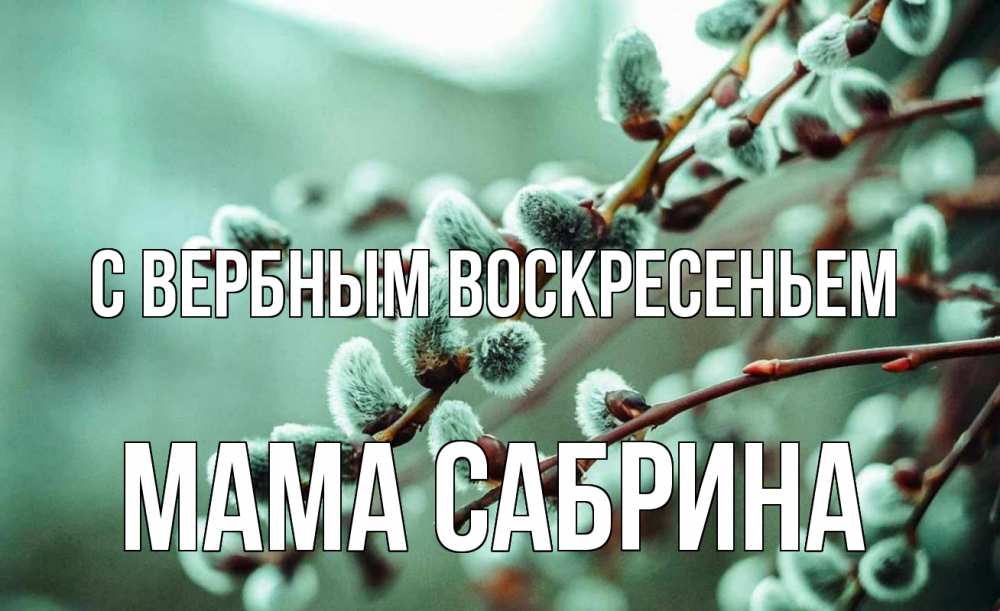 Открытка на каждый день с именем, Мама-Сабрина С вербным воскресеньем верба Прикольная открытка с пожеланием онлайн скачать бесплатно 