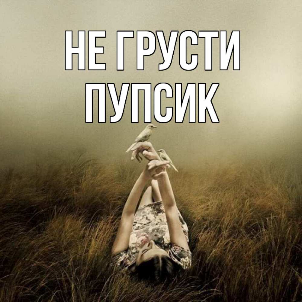 Открытка на каждый день с именем, Пупсик Не грусти поле и туман Прикольная открытка с пожеланием онлайн скачать бесплатно 