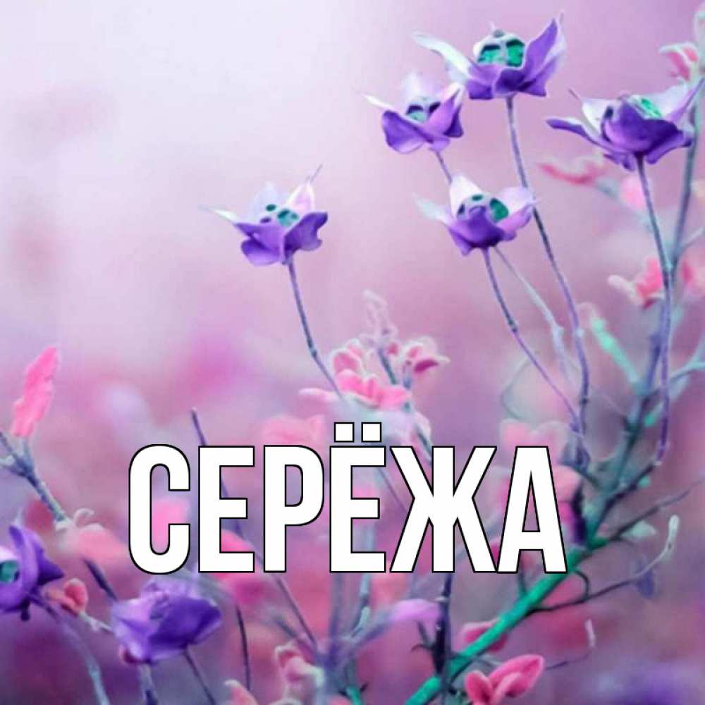 Открытка на каждый день с именем, Серёжа Главная международный женский день 2 Прикольная открытка с пожеланием онлайн скачать бесплатно 