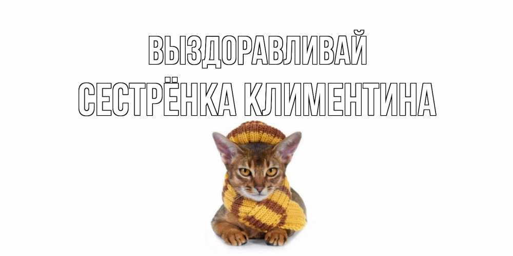 Открытка на каждый день с именем, Сестрёнка-Климентина Выздоравливай родные не болейте Прикольная открытка с пожеланием онлайн скачать бесплатно 