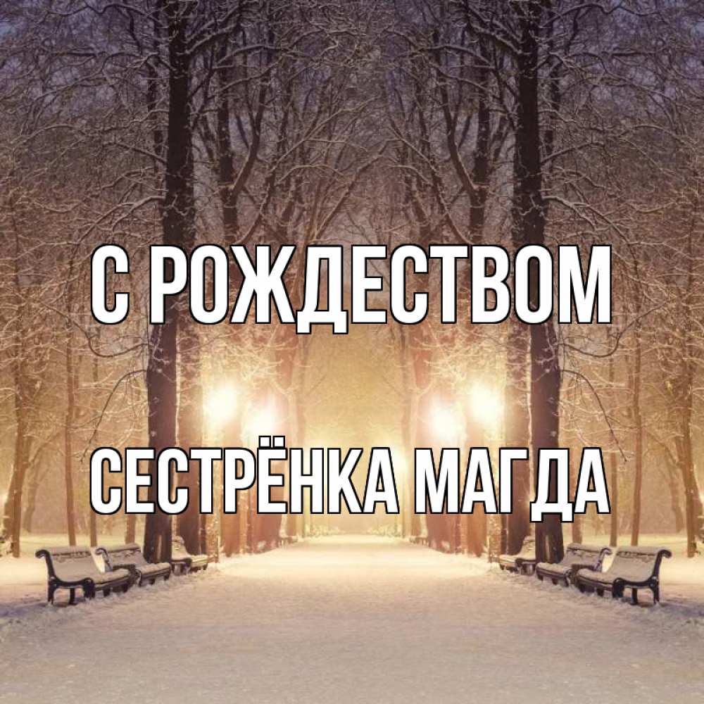 Открытка на каждый день с именем, Сестрёнка-Магда С рождеством зима, парк, фонарь, лес Прикольная открытка с пожеланием онлайн скачать бесплатно 