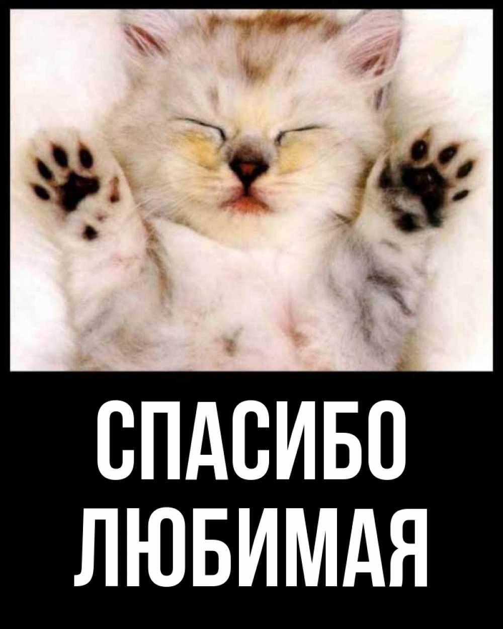 Открытка на каждый день с именем, Спасибо-любимая Спасибо маленький котенок Прикольная открытка с пожеланием онлайн скачать бесплатно 