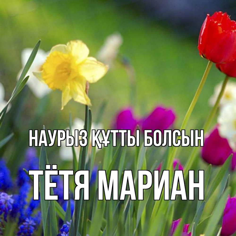 Картинка Наурыз құтты болсын, Тётя Мариан
