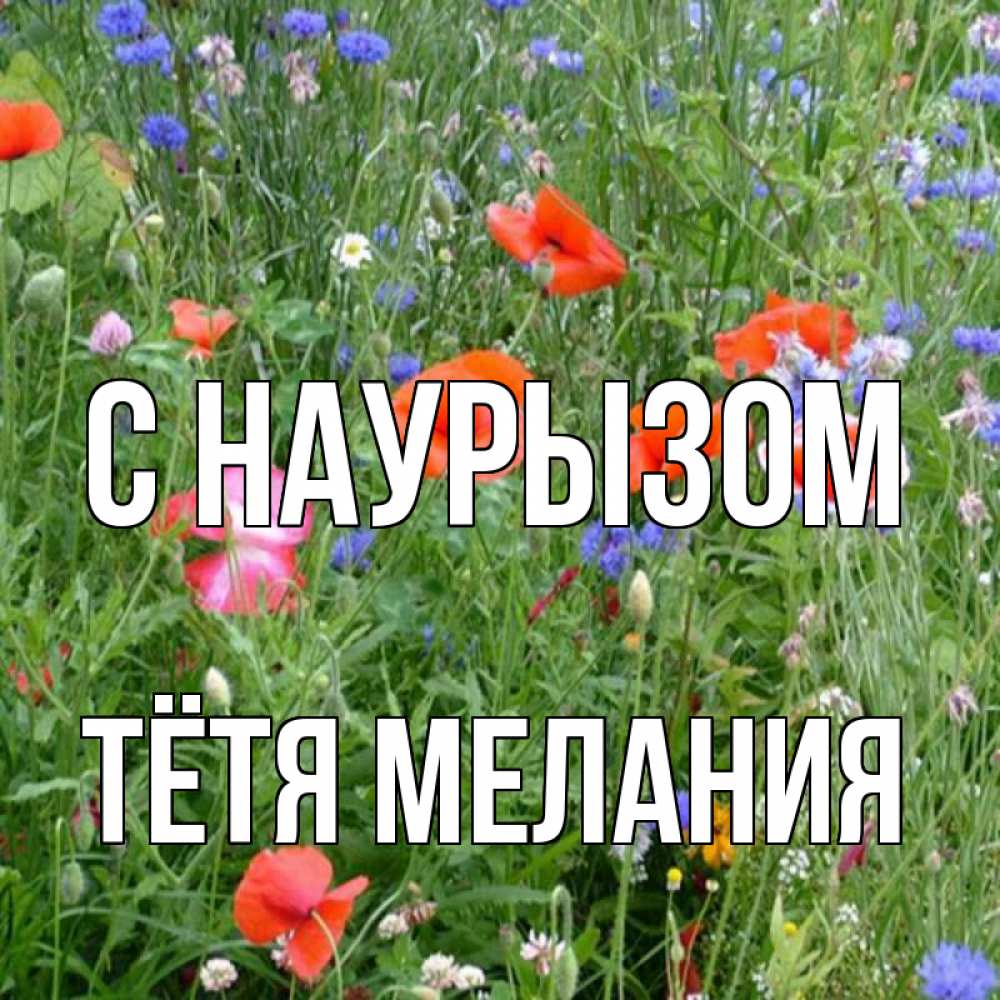 Открытка на каждый день с именем, Тётя-Мелания С наурызом праздник весны наурыз супер открытка Прикольная открытка с пожеланием онлайн скачать бесплатно 