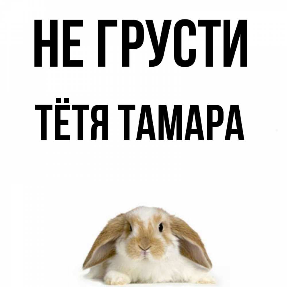 Открытка на каждый день с именем, Тётя-Тамара Не грусти коричнево белый заяц с большими ушками Прикольная открытка с пожеланием онлайн скачать бесплатно 