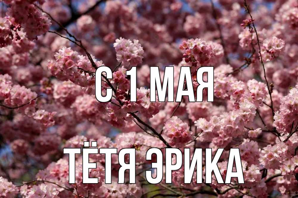 Открытка на каждый день с именем, Тётя-Эрика С 1 мая С 1 мая Прикольная открытка с пожеланием онлайн скачать бесплатно 