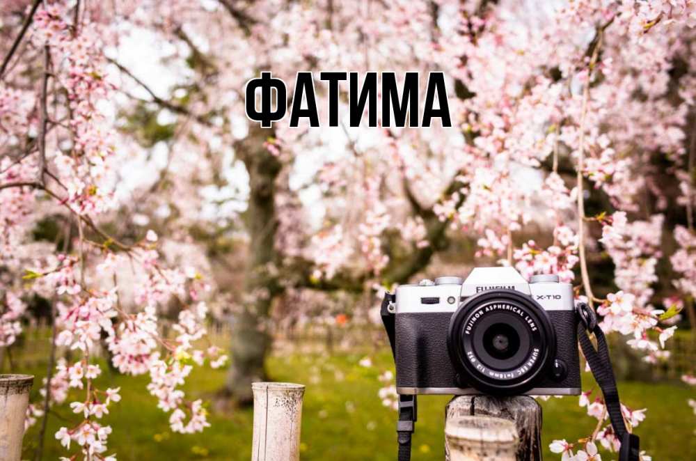 Открытка на каждый день с именем, Фатима Главная сирень с днем фотографа, фотоаппарат Прикольная открытка с пожеланием онлайн скачать бесплатно 