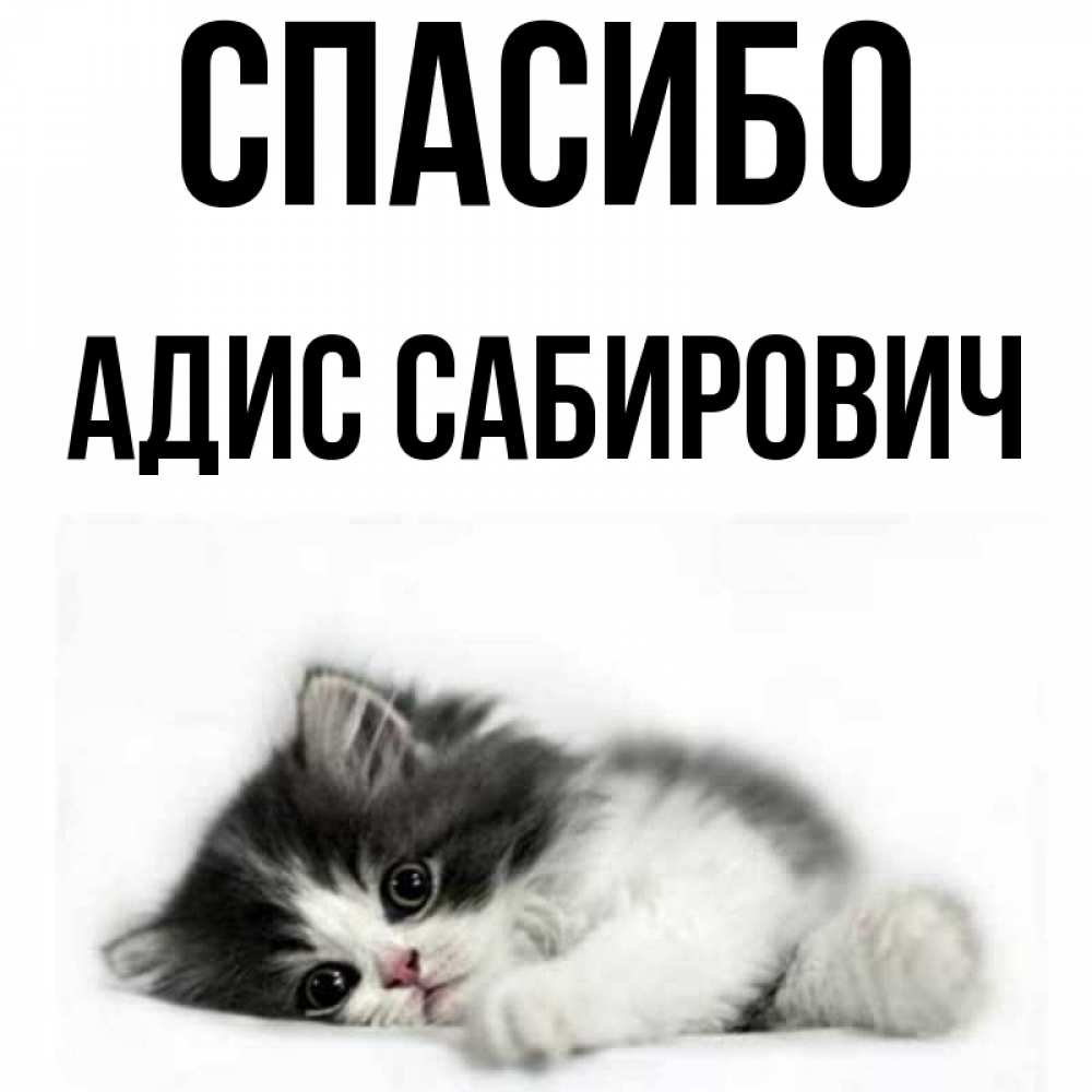 Привет Илья Картинки