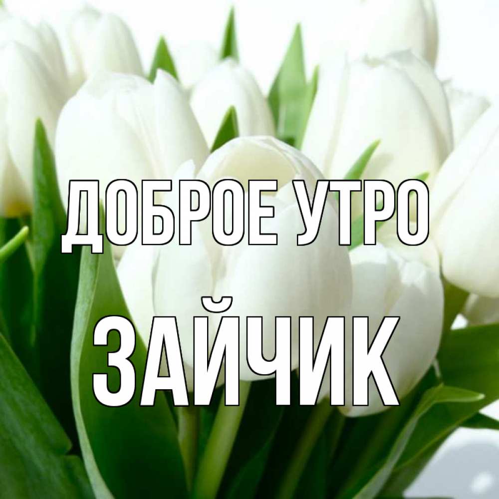 Открытка технике, картинка с добрым утром зайка