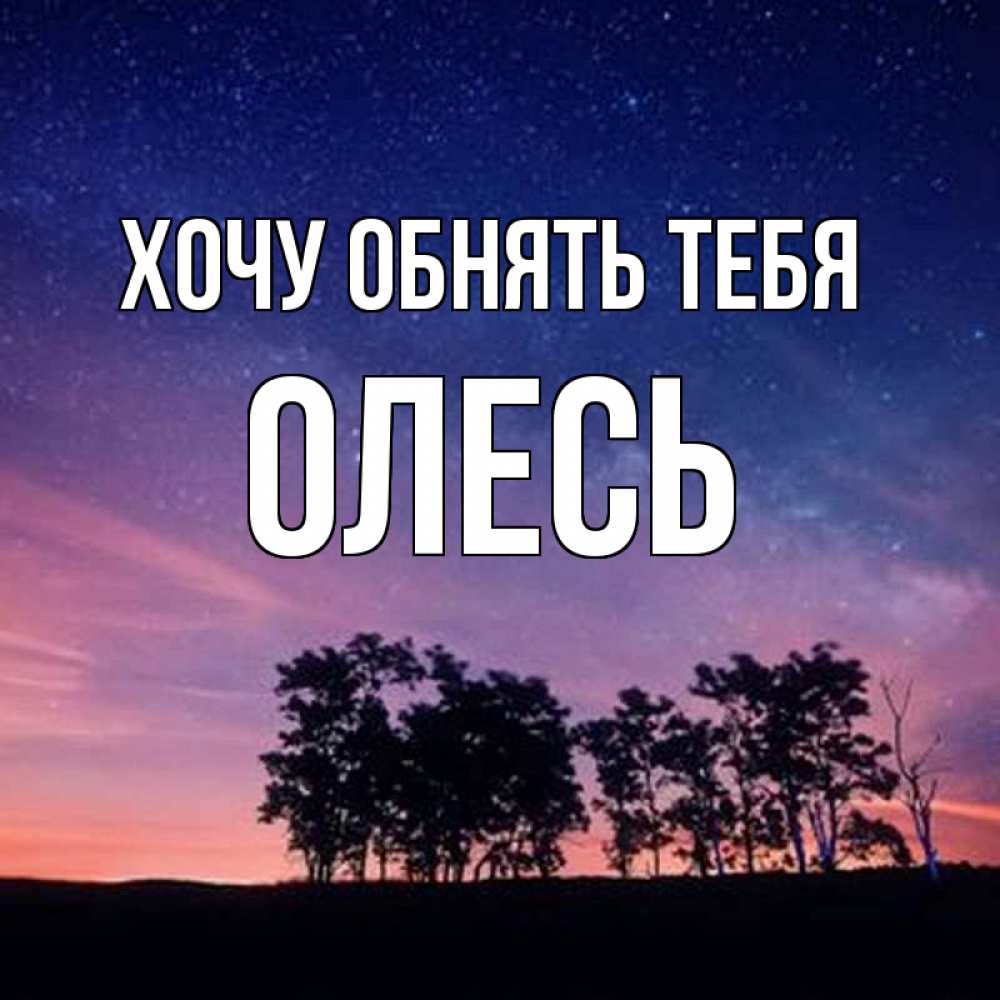 Открытка на каждый день с именем, Олесь Хочу обнять тебя силуэты деревьев Прикольная открытка с пожеланием онлайн скачать бесплатно 