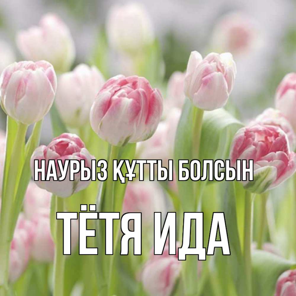 Открытка на каждый день с именем, Тётя-Ида Наурыз құтты болсын цветы Прикольная открытка с пожеланием онлайн скачать бесплатно 