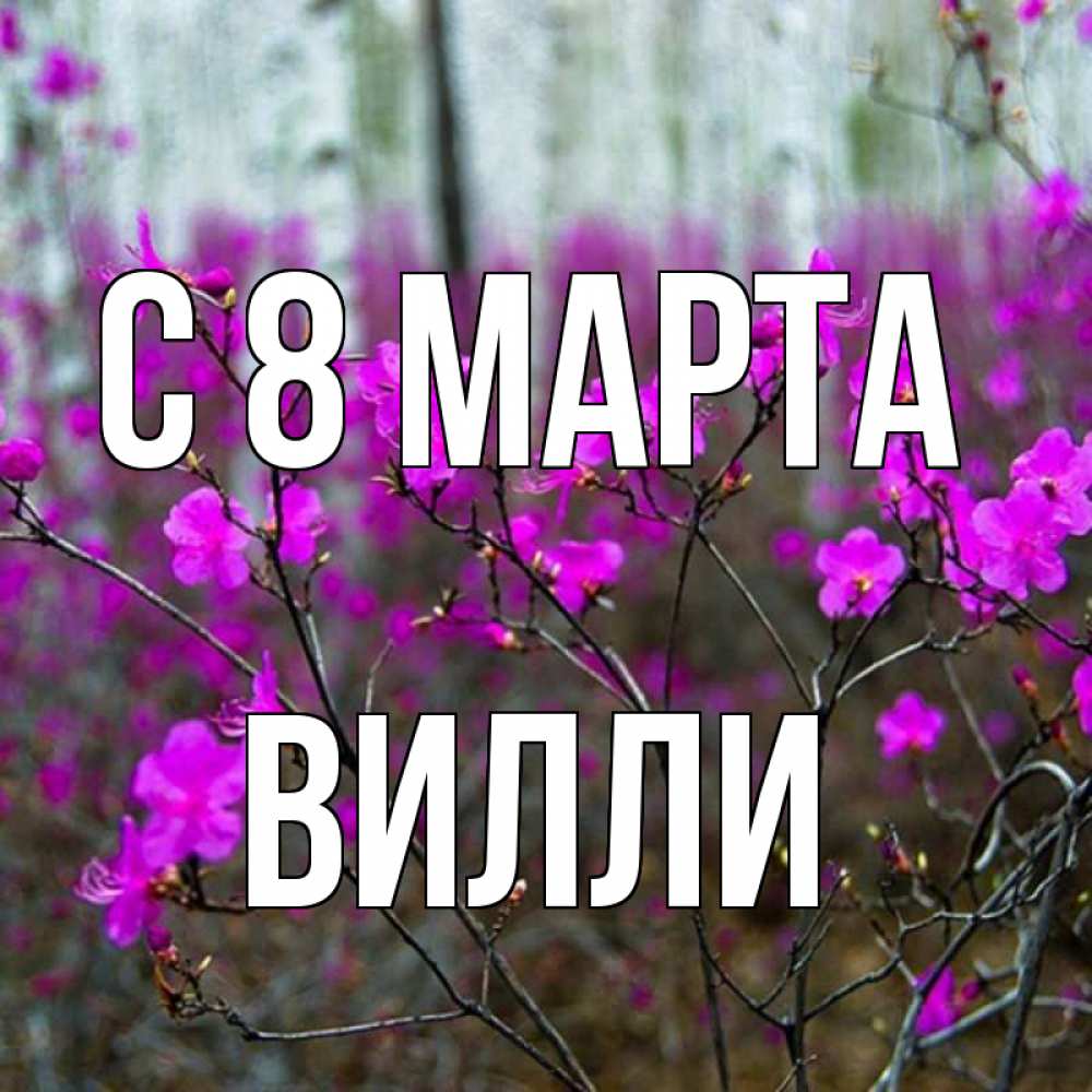 Открытка на каждый день с именем, Вилли С 8 МАРТА дикие цветы Прикольная открытка с пожеланием онлайн скачать бесплатно 