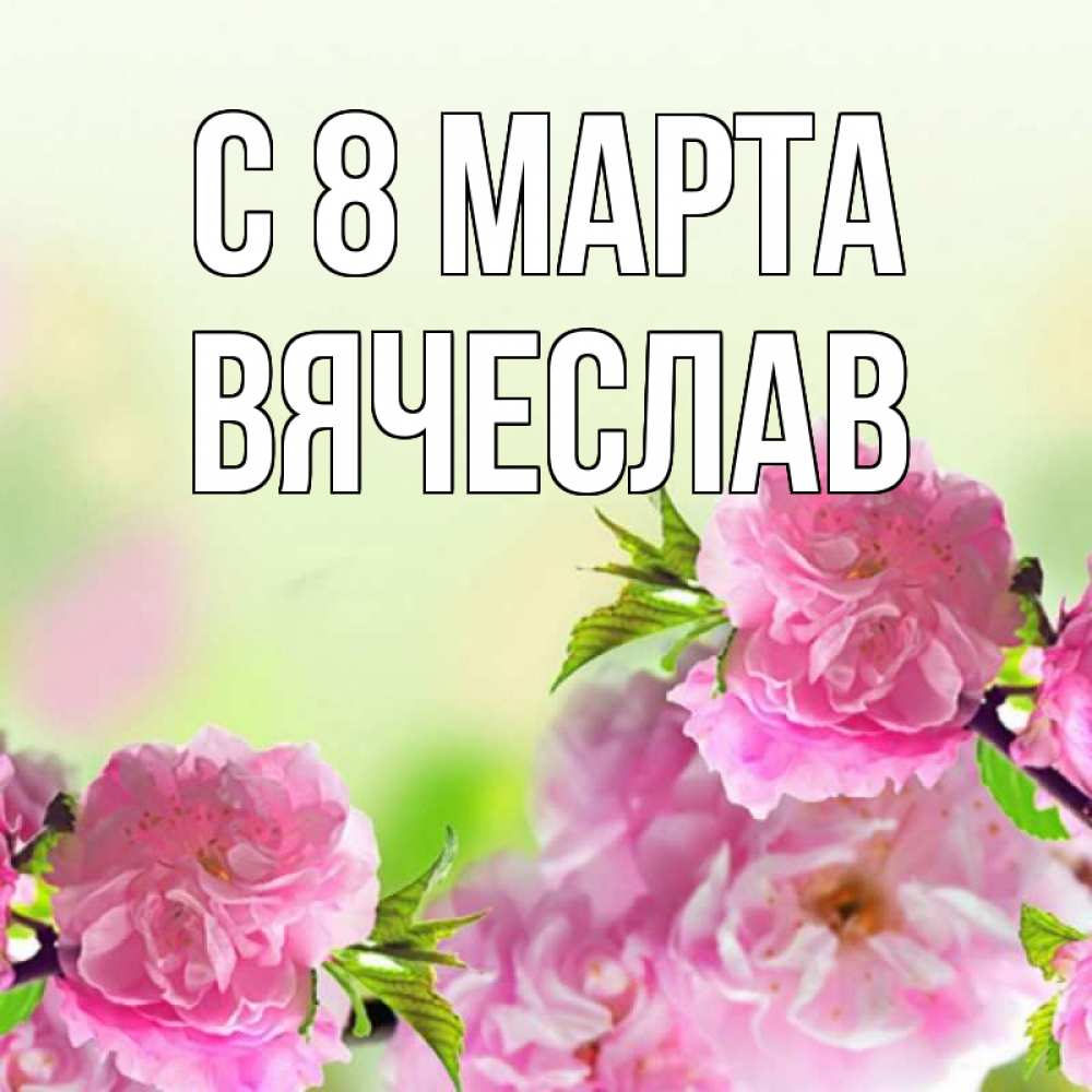 Открытка на каждый день с именем, Вячеслав С 8 МАРТА цветы Прикольная открытка с пожеланием онлайн скачать бесплатно 