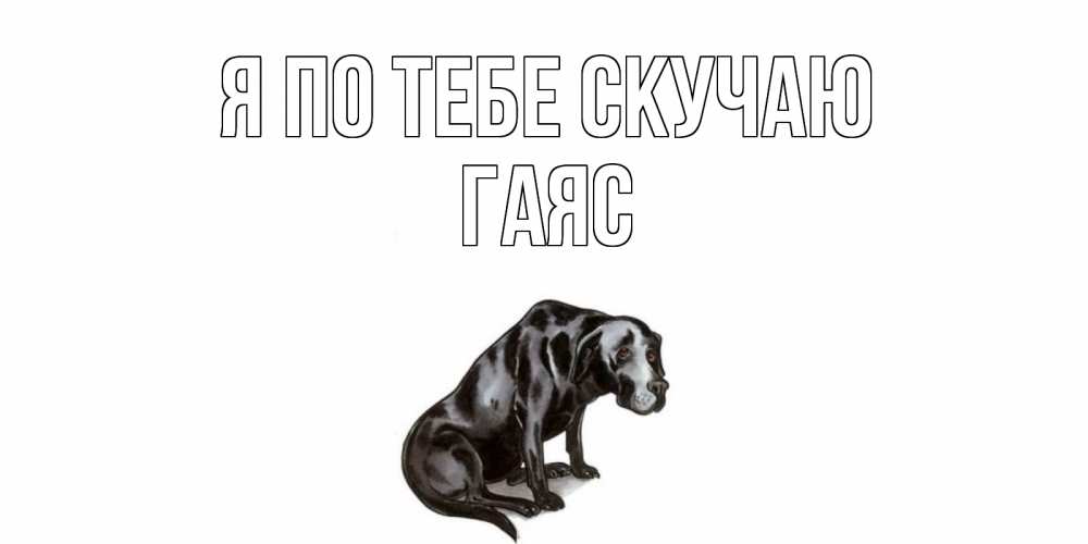 Открытка на каждый день с именем, Гаяс Я по тебе скучаю я по тебе скучаю открытка с собакой Прикольная открытка с пожеланием онлайн скачать бесплатно 