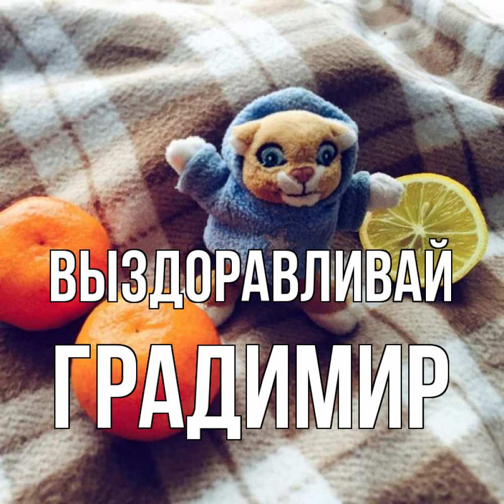 Открытка на каждый день с именем, Градимир Выздоравливай вот тебе апельсинка и лимон Прикольная открытка с пожеланием онлайн скачать бесплатно 