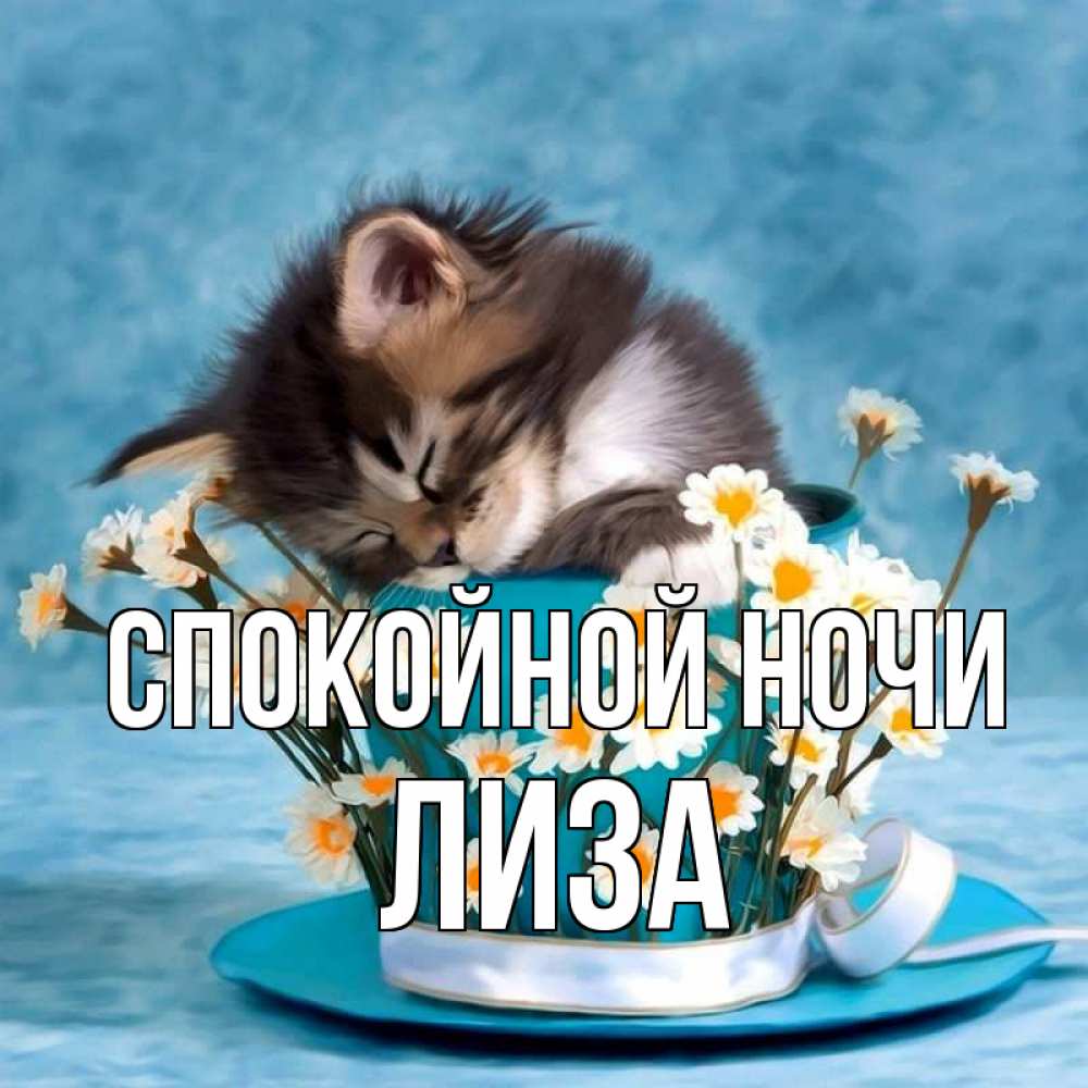 Открытка на каждый день с именем, Лиза Спокойной ночи котенок спит в кружке с блюдцем Прикольная открытка с пожеланием онлайн скачать бесплатно 