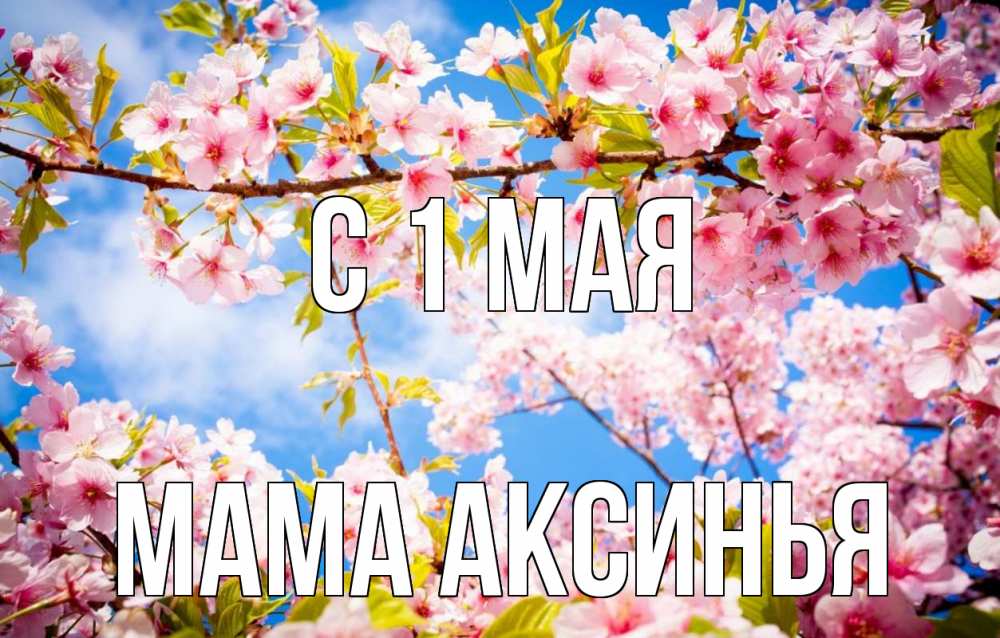 Открытка на каждый день с именем, Мама-Аксинья С 1 мая С 1 мая Прикольная открытка с пожеланием онлайн скачать бесплатно 
