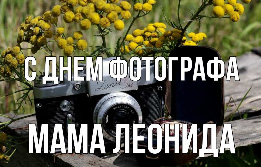 Открытка на каждый день с именем, Мама-Леонида С днем фотографа с днем фотографа Прикольная открытка с пожеланием онлайн скачать бесплатно 