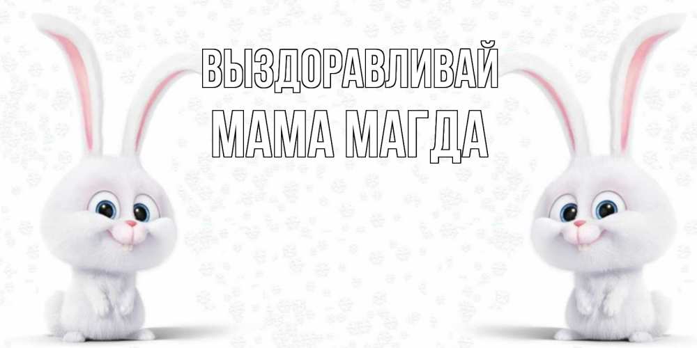 Открытка на каждый день с именем, Мама-Магда Выздоравливай не болей с зайцем Прикольная открытка с пожеланием онлайн скачать бесплатно 