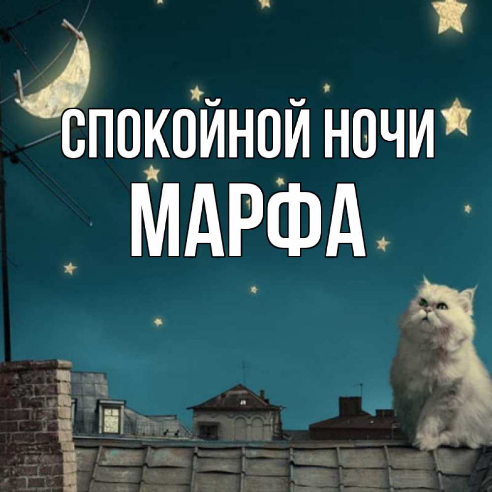 Открытка на каждый день с именем, Марфа Спокойной ночи белый кот сидит на крыше Прикольная открытка с пожеланием онлайн скачать бесплатно 