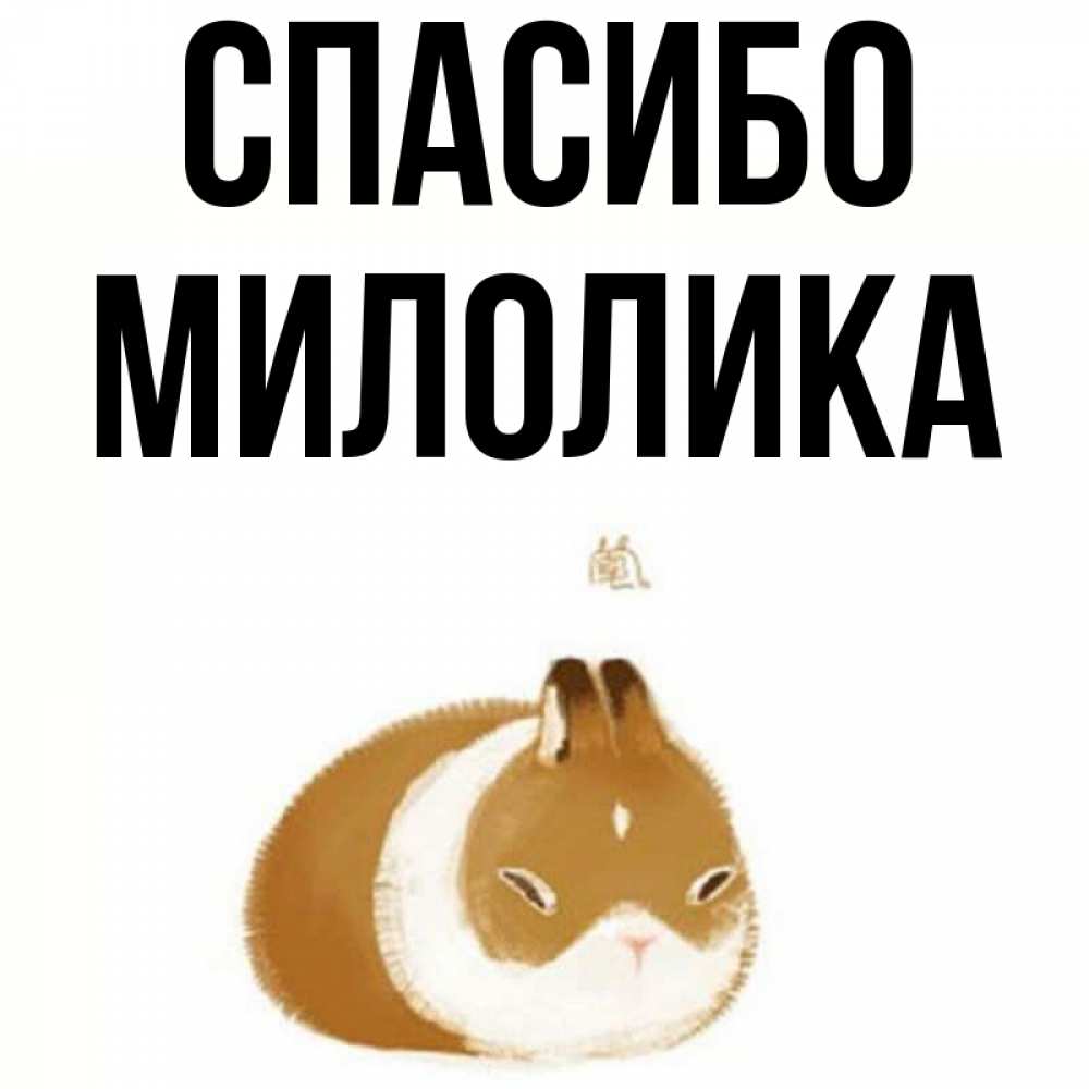 Открытка на каждый день с именем, Милолика Спасибо коричнево белый домашний питомец Прикольная открытка с пожеланием онлайн скачать бесплатно 