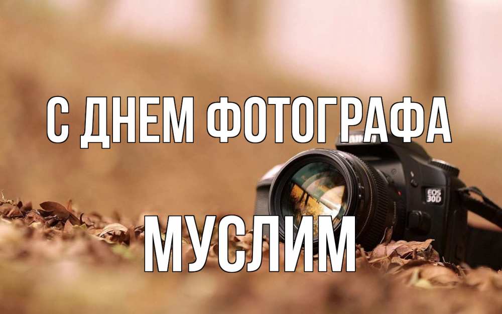 Открытка на каждый день с именем, Муслим С днем фотографа с днем фотографа Прикольная открытка с пожеланием онлайн скачать бесплатно 