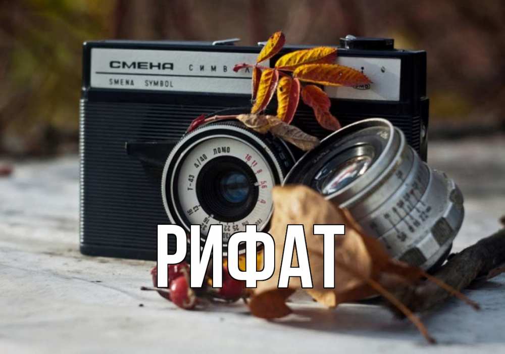 Открытка на каждый день с именем, Рифат Главная с днем фотографа Прикольная открытка с пожеланием онлайн скачать бесплатно 