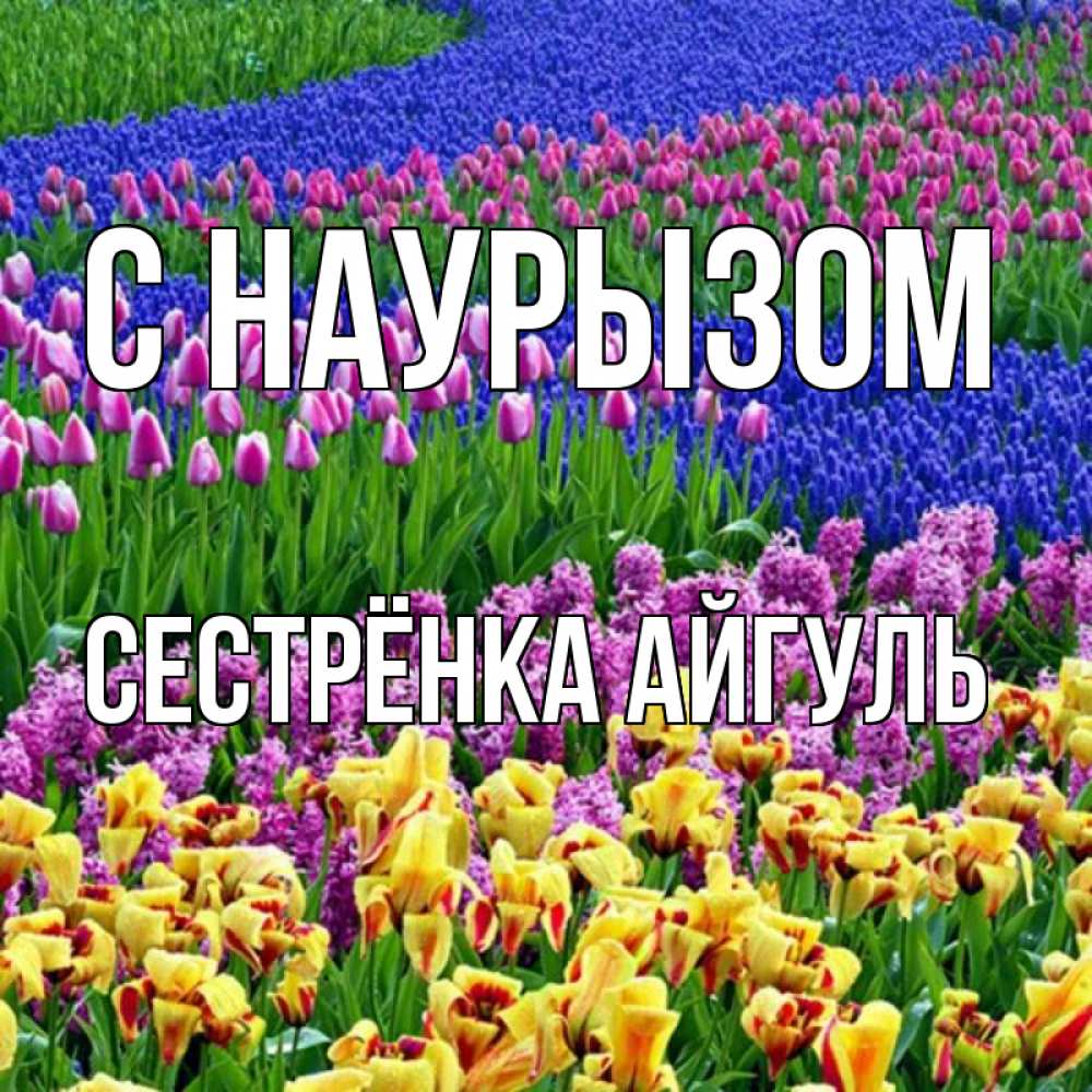Открытка на каждый день с именем, Сестрёнка-Айгуль С наурызом цветы Прикольная открытка с пожеланием онлайн скачать бесплатно 