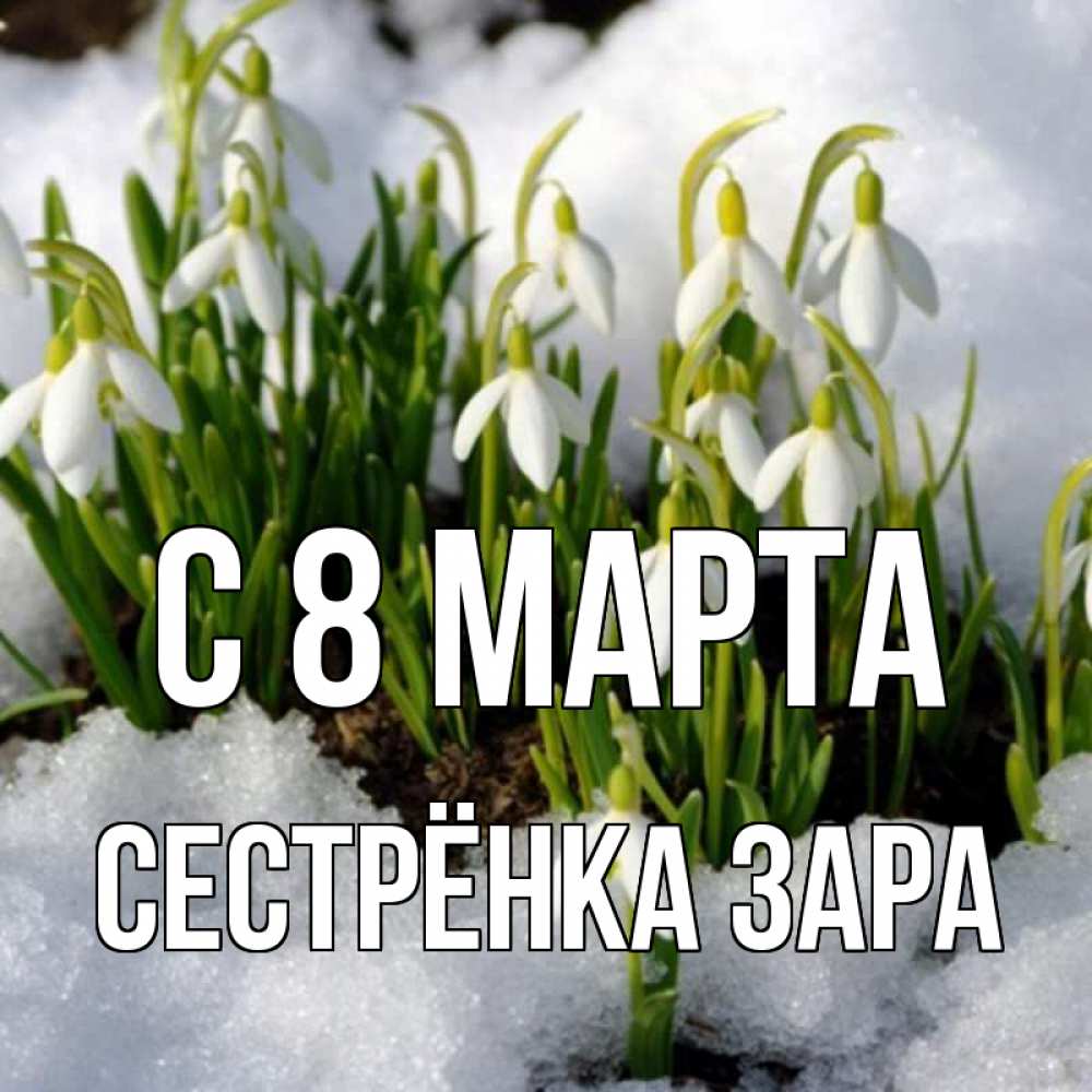 Открытка на каждый день с именем, Сестрёнка-Зара С 8 марта цветы весенние Прикольная открытка с пожеланием онлайн скачать бесплатно 