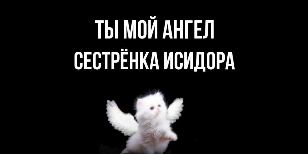Открытка на каждый день с именем, Сестрёнка-Исидора Ты мой ангел Кот ангел Прикольная открытка с пожеланием онлайн скачать бесплатно 