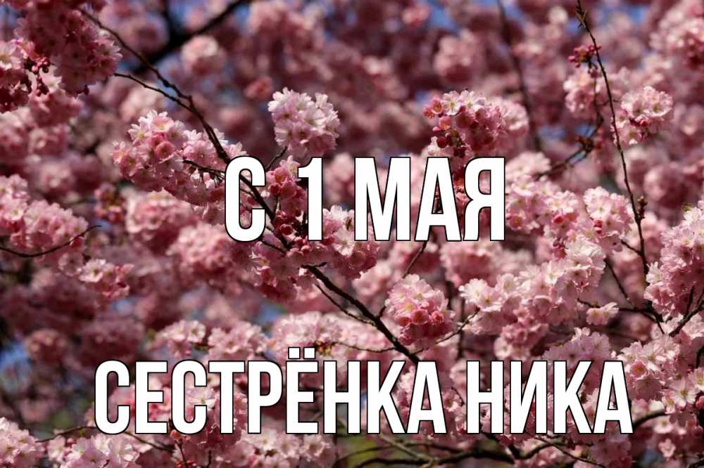 Открытка на каждый день с именем, Сестрёнка-Ника С 1 мая С 1 мая Прикольная открытка с пожеланием онлайн скачать бесплатно 