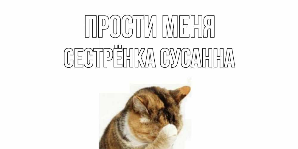 Открытка на каждый день с именем, Сестрёнка-Сусанна Прости меня кот Прикольная открытка с пожеланием онлайн скачать бесплатно 