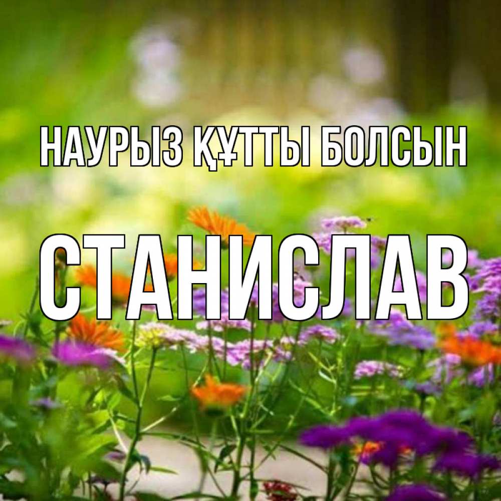 Открытка на каждый день с именем, Станислав Наурыз құтты болсын цветы Прикольная открытка с пожеланием онлайн скачать бесплатно 