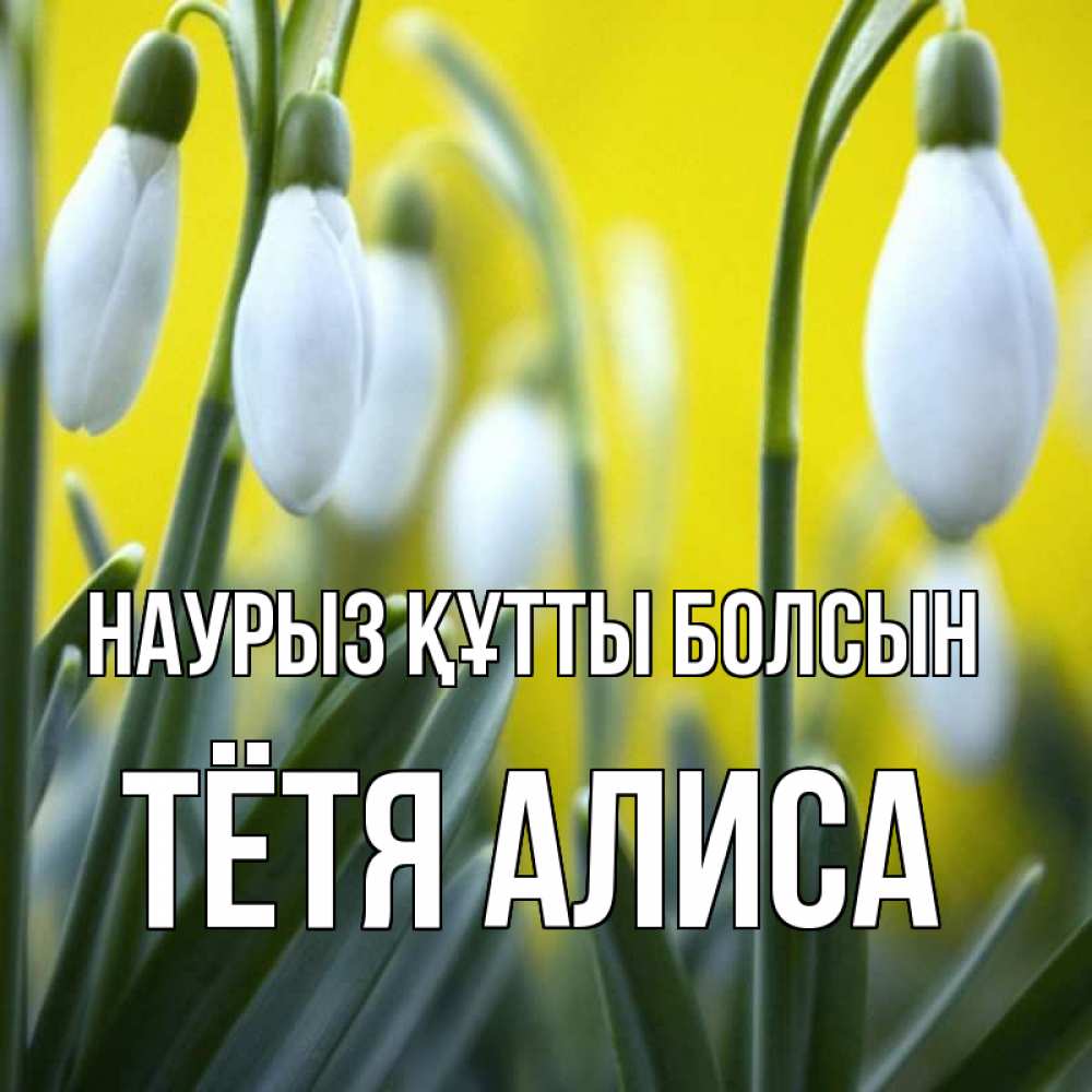 Открытка на каждый день с именем, Тётя-Алиса Наурыз құтты болсын весенние цветы Прикольная открытка с пожеланием онлайн скачать бесплатно 