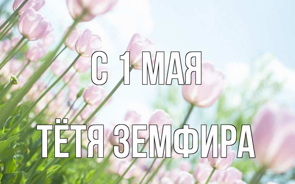 Открытка на каждый день с именем, Тётя-Земфира С 1 мая С 1 мая Прикольная открытка с пожеланием онлайн скачать бесплатно 