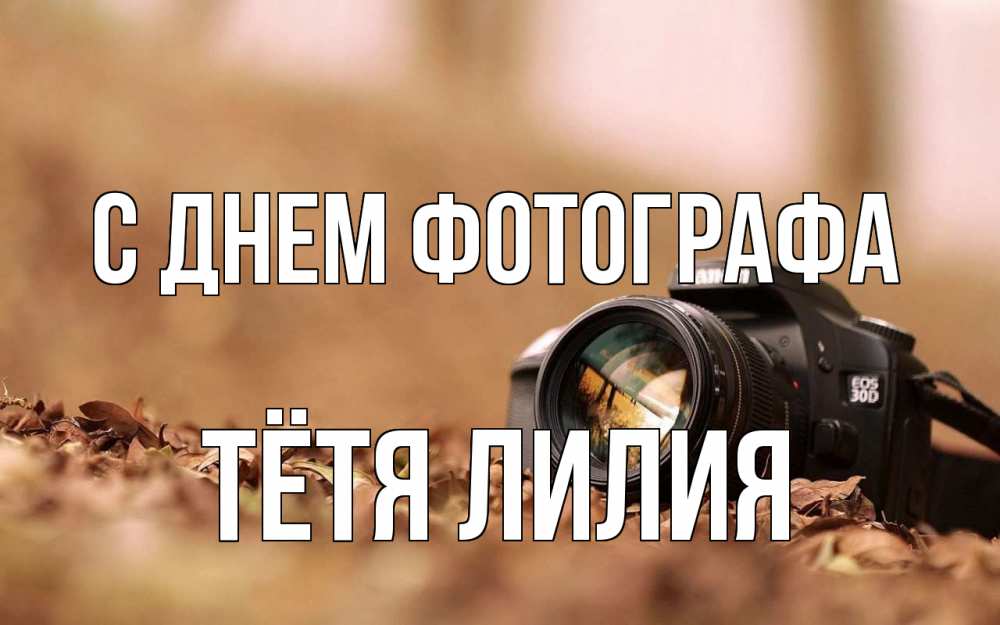Открытка на каждый день с именем, Тётя-Лилия С днем фотографа с днем фотографа Прикольная открытка с пожеланием онлайн скачать бесплатно 