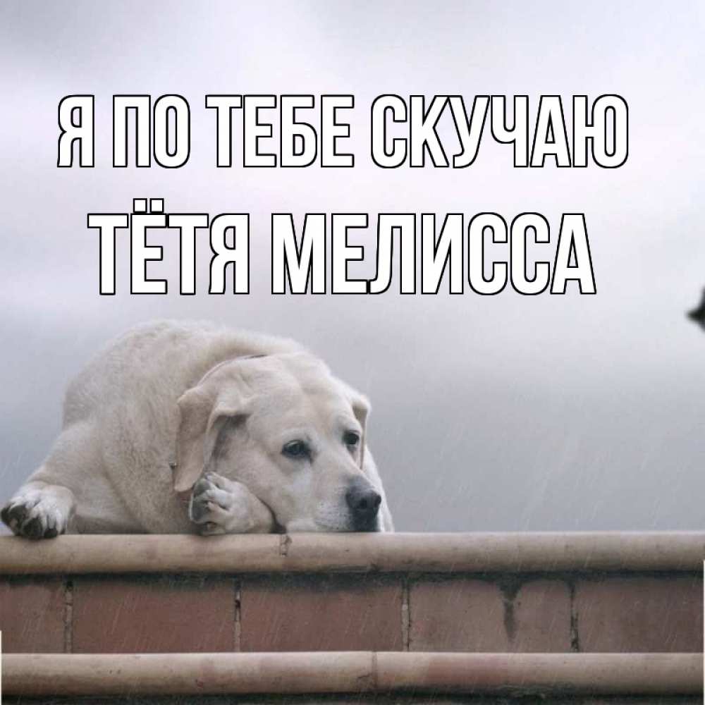 Открытка на каждый день с именем, Тётя-Мелисса Я по тебе скучаю ждет Прикольная открытка с пожеланием онлайн скачать бесплатно 