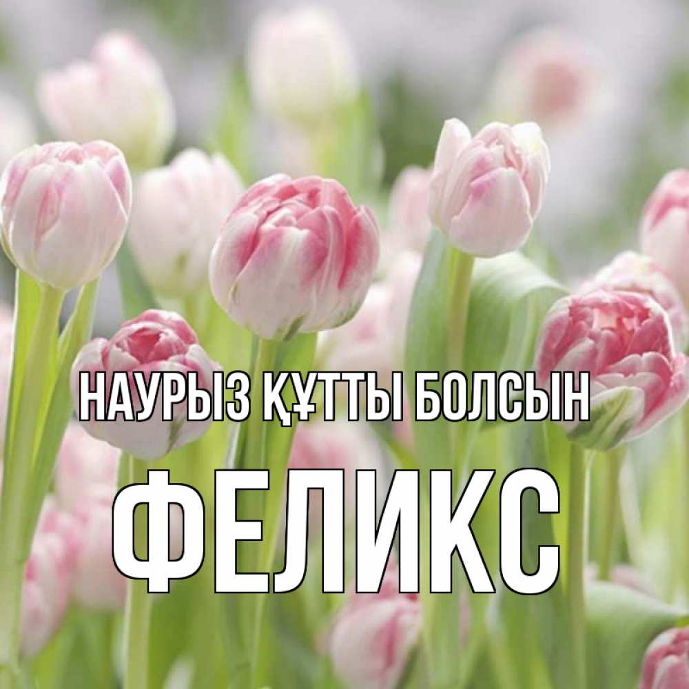 Открытка на каждый день с именем, Феликс Наурыз құтты болсын цветы Прикольная открытка с пожеланием онлайн скачать бесплатно 