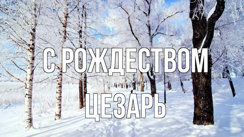 Открытка на каждый день с именем, Цезарь С рождеством зимний лес Прикольная открытка с пожеланием онлайн скачать бесплатно 