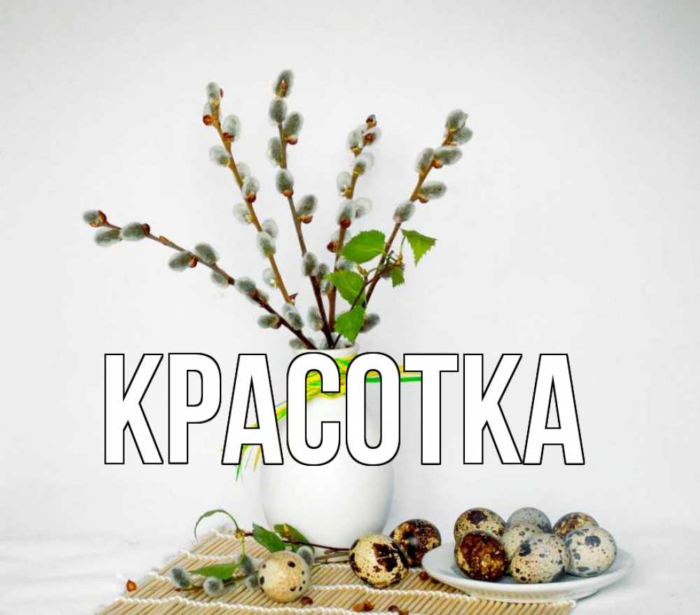 Открытка на каждый день с именем, красотка Главная верба Прикольная открытка с пожеланием онлайн скачать бесплатно 