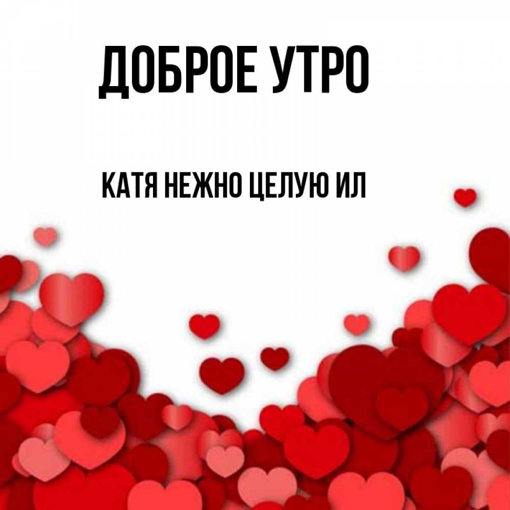 Утро катя