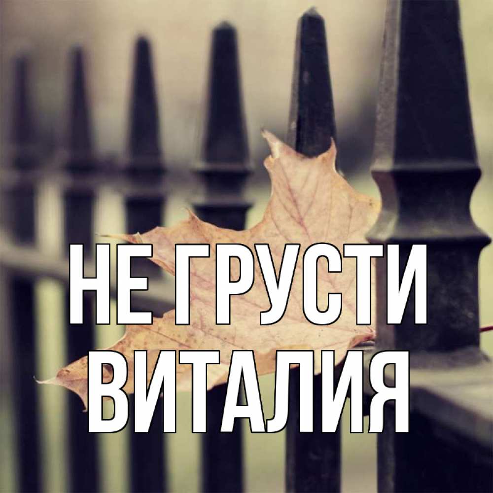 Открытка на каждый день с именем, Виталия Не грусти лист клена Прикольная открытка с пожеланием онлайн скачать бесплатно 