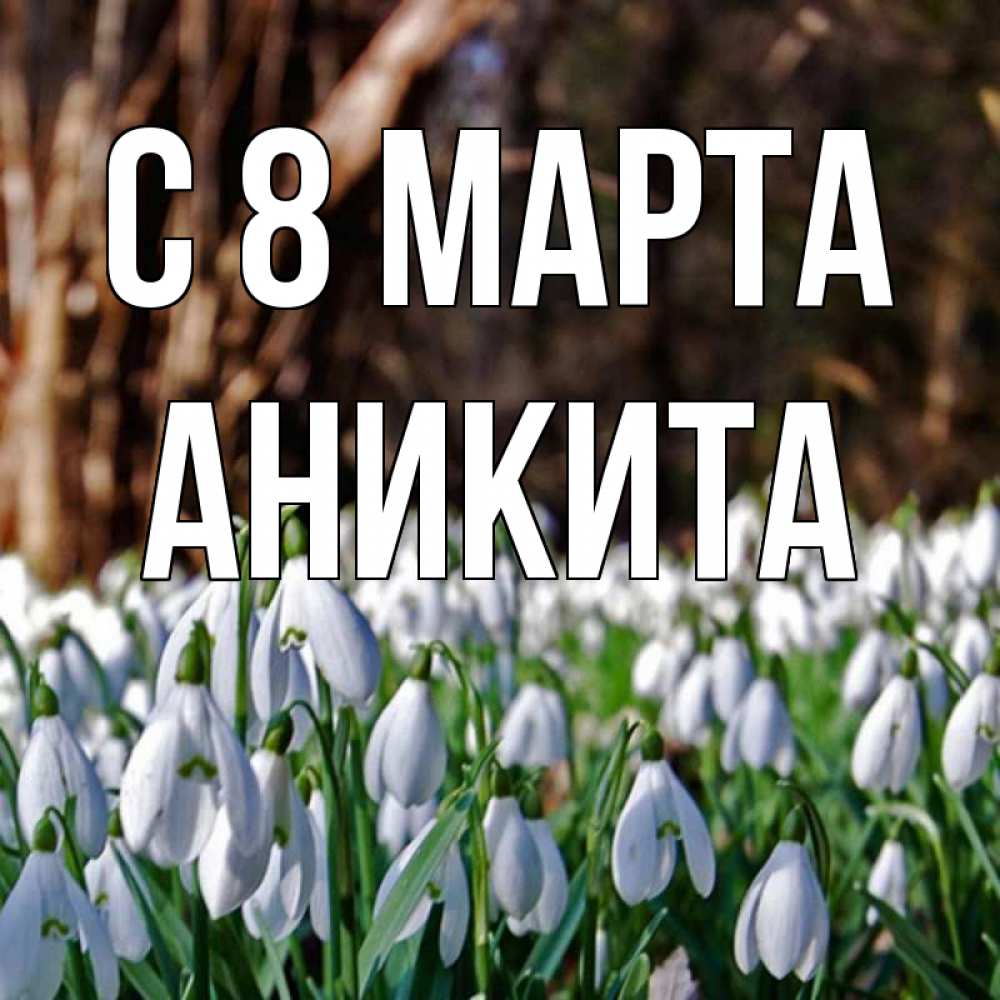Открытка на каждый день с именем, Аникита С 8 марта с подснежниками 1 Прикольная открытка с пожеланием онлайн скачать бесплатно 